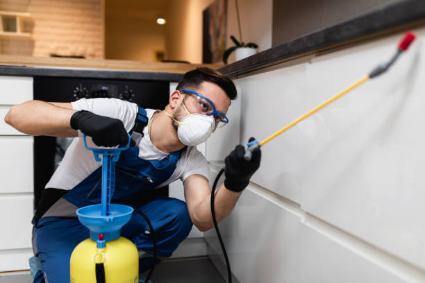 Best Affordable Pest Control Services  in Mars Hill, NC
