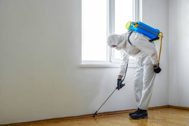 Best Commercial Pest Control Services  in Mars Hill, NC