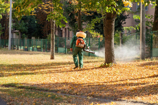 Best Pest Control Near Me in Mars Hill, NC