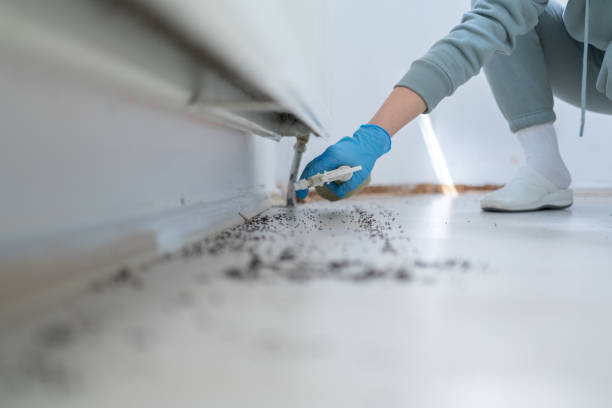  Mars Hill, NC Pest Control Pros