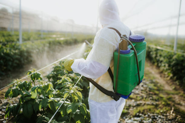 Best Best Pest Control Near Me  in Mars Hill, NC